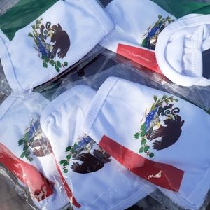 Mexican Flag Mask